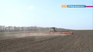 Льготные кредиты для белгородских предпринимателей
