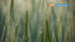 Как научиться слышать себя