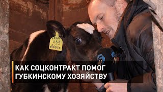 Как соцконтракт помог губкинскому хозяйству 