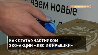 Как стать участником эко-акции «Лес из крышки»