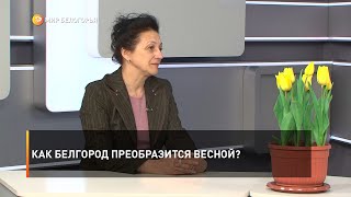 Как Белгород преобразится весной?