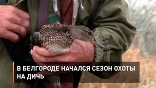В Белгороде начался сезон охоты на дичь