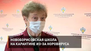 Новоборисовская школа на карантине из-за норовируса