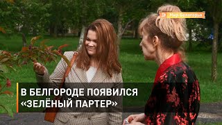 В Белгороде появился «Зелёный партер»
