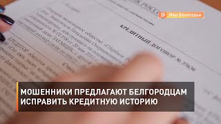Мошенники предлагают белгородцам исправить кредитную историю 