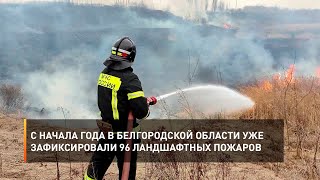С начала года в Белгородской области уже зафиксировали 96 ландшафтных пожаров