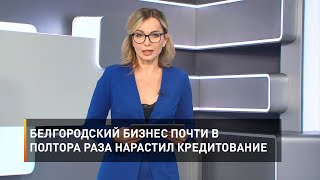 Белгородский бизнес почти в полтора раза нарастил кредитование