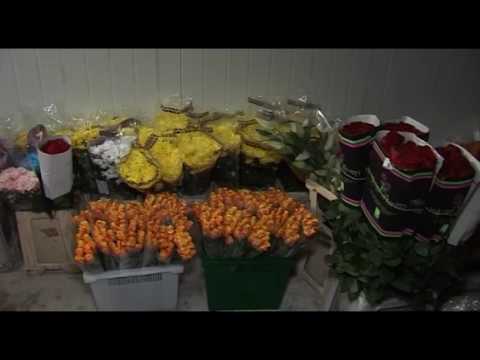 Проверка цветочных магазинов