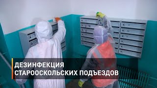 Дезинфекция старооскольских подъездов
