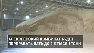 Алексеевский комбинат будет перерабатывать до 2,5 тысяч тонн сои в сутки