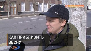 Как приблизить весну: советы белгородцев