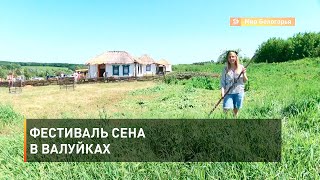 Фестиваль сена в Валуйках 