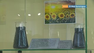 Первый частный музей Вейделевки