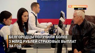 Белгородцы получили более 3 млрд рублей страховых выплат за год