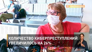 Количество киберпреступлений увеличилось на 26%