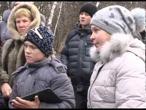 В заповеднике «Белогорье» собрали семена меловых сосен 