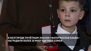 В Белгороде почётным знаком «Материнская слава» наградили более 30 многодетных семей