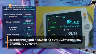 В Белгородской области за сутки 442 человека заболело COVID-19
