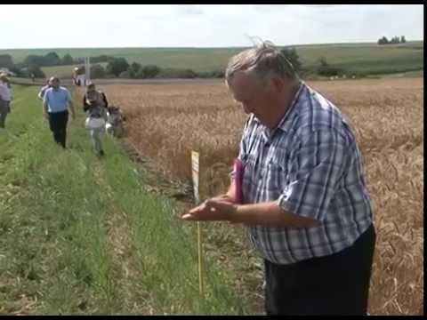 В чем преимущества биоземледелия