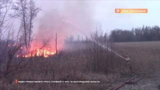 Палы сухой травы в селах Белгородской области