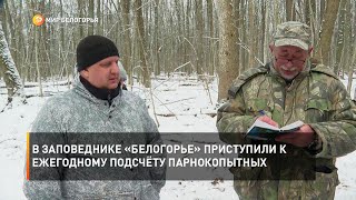 В заповеднике «Белогорье» приступили к ежегодному подсчёту парнокопытных