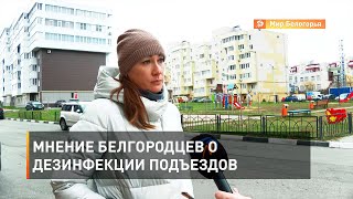 Мнение белгородцев о дезинфекции подъездов 