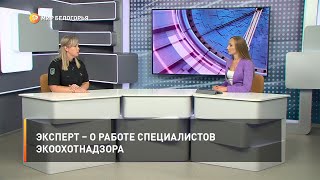 Эксперт – о работе специалистов экоохотнадзора