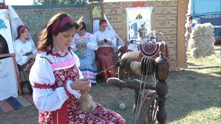 Фестиваль «Золотое руно» в Волоконовском районе