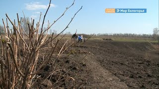Парк на месте свалки появится в Борисовке