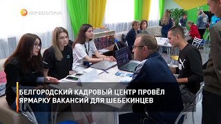 Белгородский кадровый центр провёл ярмарку вакансий для шебекинцев