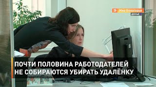 Почти половина работодателей не собираются убирать удалёнку 