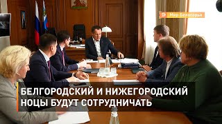 Белгородский и нижегородский НОЦы будут сотрудничать 