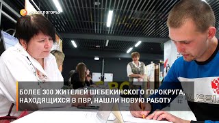 Более 300 жителей Шебекинского горокруга, находящихся в ПВР, нашли новую работу