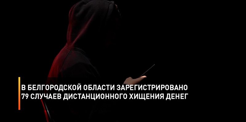 В Белгородской области зарегистрировано 79 случаев дистанционного хищения денег