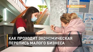Как проходит экономическая перепись малого бизнеса