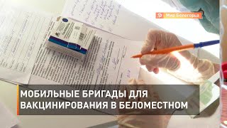 Мобильные бригады для вакцинирования в Беломестном