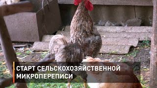 Старт сельскохозяйственной микропереписи