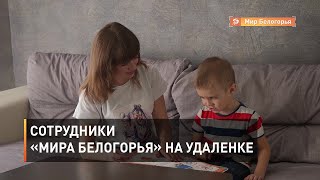 Сотрудники «Мира Белогорья» на удаленке