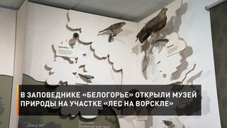 В заповеднике «Белогорье» открыли Музей природы на участке «Лес на Ворскле»