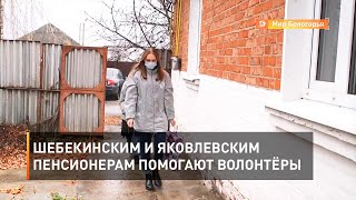 Шебекинским и яковлевским пенсионерам помогают волонтёры 