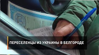 Переселенцы из Украины в Белгороде