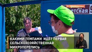 Какими темпами  идёт первая сельскохозяйственная микроперепись