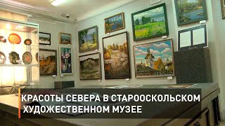Красоты Севера в Старооскольском художественном музее