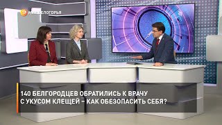 140 белгородцев обратились к врачу с укусом клещей – как обезопасить себя?