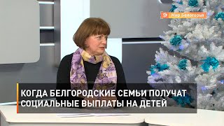 Когда белгородские семьи получат социальные выплаты на детей