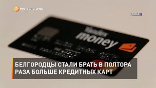 Белгородцы стали брать в полтора раза больше кредитных карт 