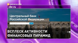 Всплеск активности финансовых пирамид