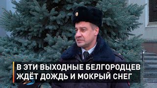 В эти выходные белгородцев ждёт дождь и мокрый снег