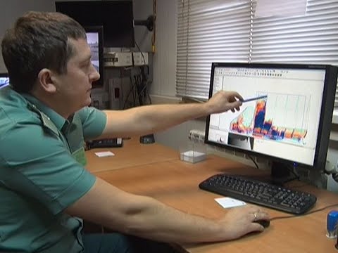 Контрабандные автозапчасти