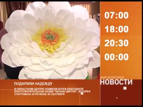 Смотрите на «Мире Белогорья» сегодня, 20 ноября